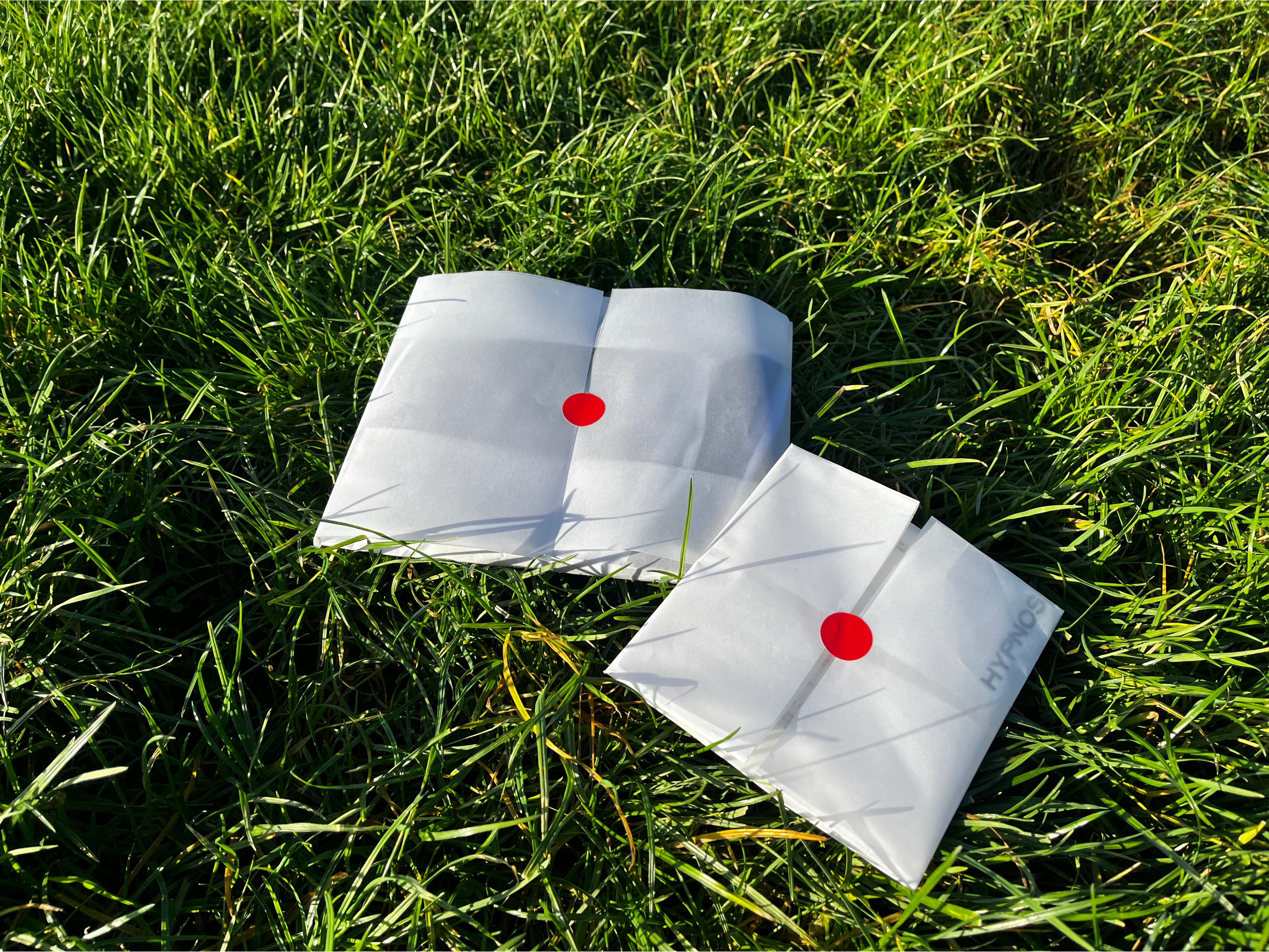 Hypnos placeholder screenshot 1